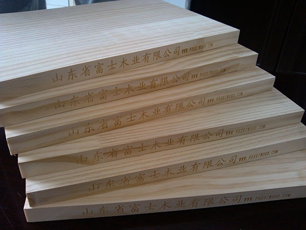 广西贵港迅发化工人造板饰面纸项目环评获批|鼎丰木业